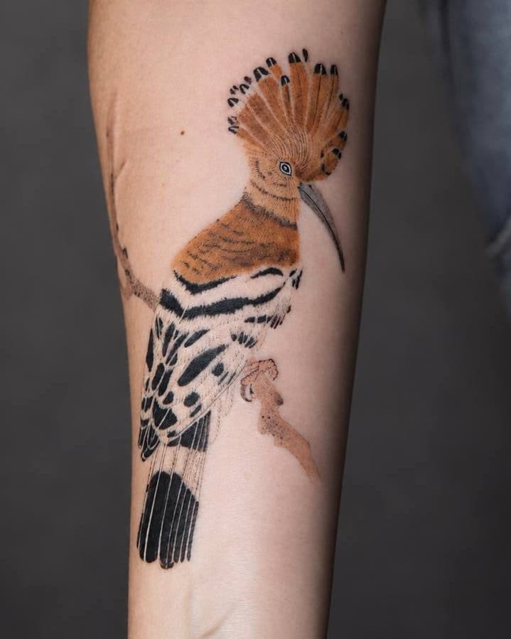 Colour tattoo of a hoopoe perched on a branch, on a forearm
